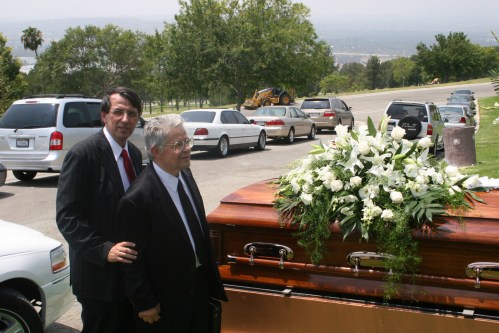 olah_cimitir_niculescu