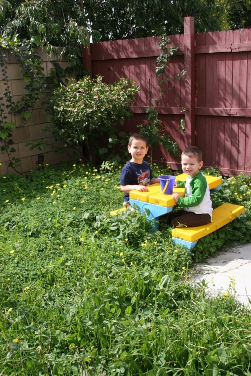 primavara-californiana