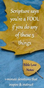 This 1-minute devotion shares 5 ways that we wrongly celebrate foolishness. It includes a quote by a famous missionary. #BibleLoveNotes #Bible