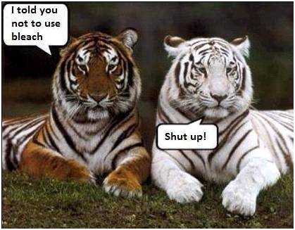 tigerbleach