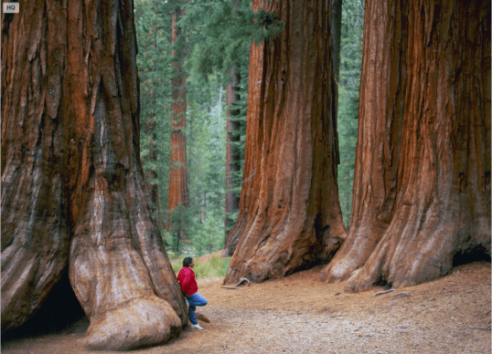 Screen Shot 2014-05-20 at 5.48.17 PM