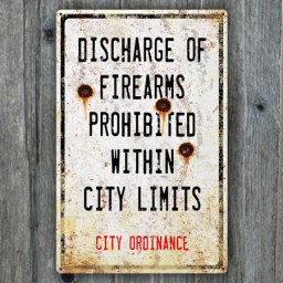 Alaska fire arms sign