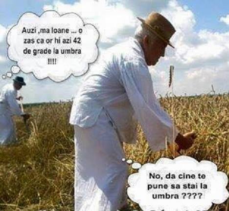 1070013_992093724169055_6199298615990468339_n