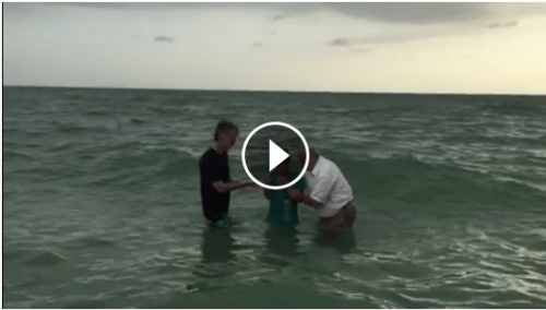 Screen Shot 2015-07-06 at 12.19.05 PM