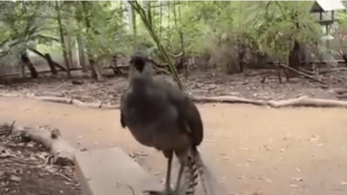 Screen Shot 2015-07-16 at 1.49.05 PM