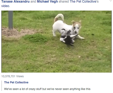 Screen Shot 2015-07-20 at 10.17.24 PM