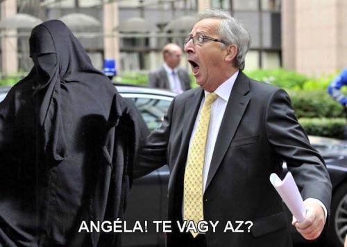 11988385_171479573189341_2847487861088666942_n