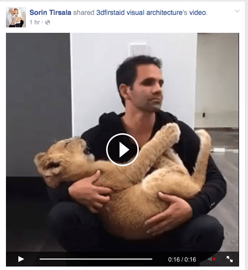 Screen Shot 2015-10-29 at 11.26.40 AM