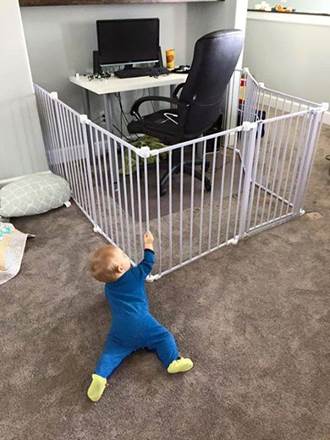 Untitled attachment 00028