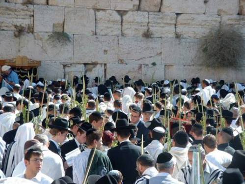 sukkotkotel zidul plangerii Israel