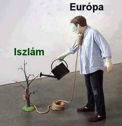 12674561_10153734337278876_1253711730_n