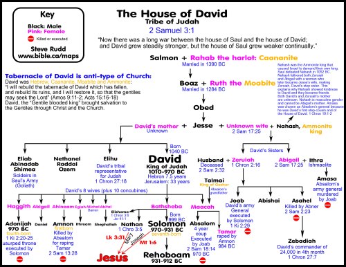 genealogy-house-of-david-salmon-rahab-boaz-ruth-obed-jesse-eliab-abinadab-shimea-nethanel-raddai-ozem-elihu-david-zuruiah-abigail-joab-abishai-asalel-zebadiah