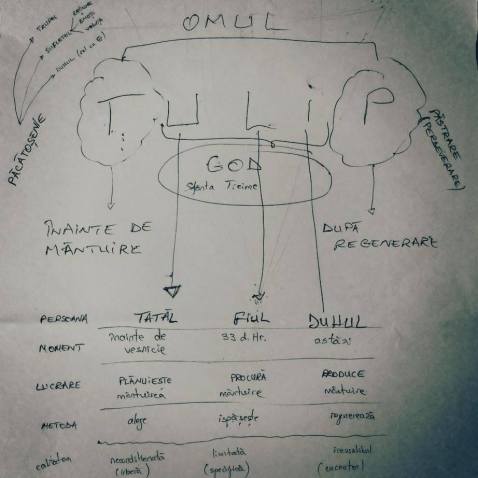 12417988_1043911998983601_4911464303623057575_n