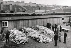cadavers-at-mauthausen-nazi-concentration-camp-1945
